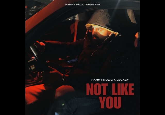 Not Like You 